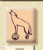 Coyote on pottery