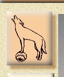 Coyote on pottery