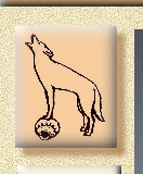 Coyote on pottery