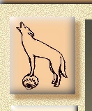 Coyote on pottery