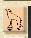 Coyote on pottery