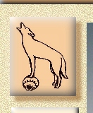 Coyote on pottery