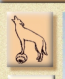 Coyote on pottery