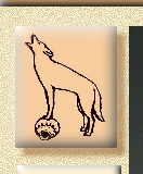 Coyote on pottery