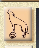 Coyote on pottery