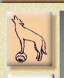 Coyote on pottery