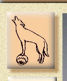 Coyote on pottery