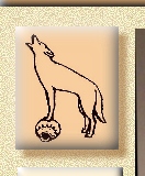 Coyote on pottery